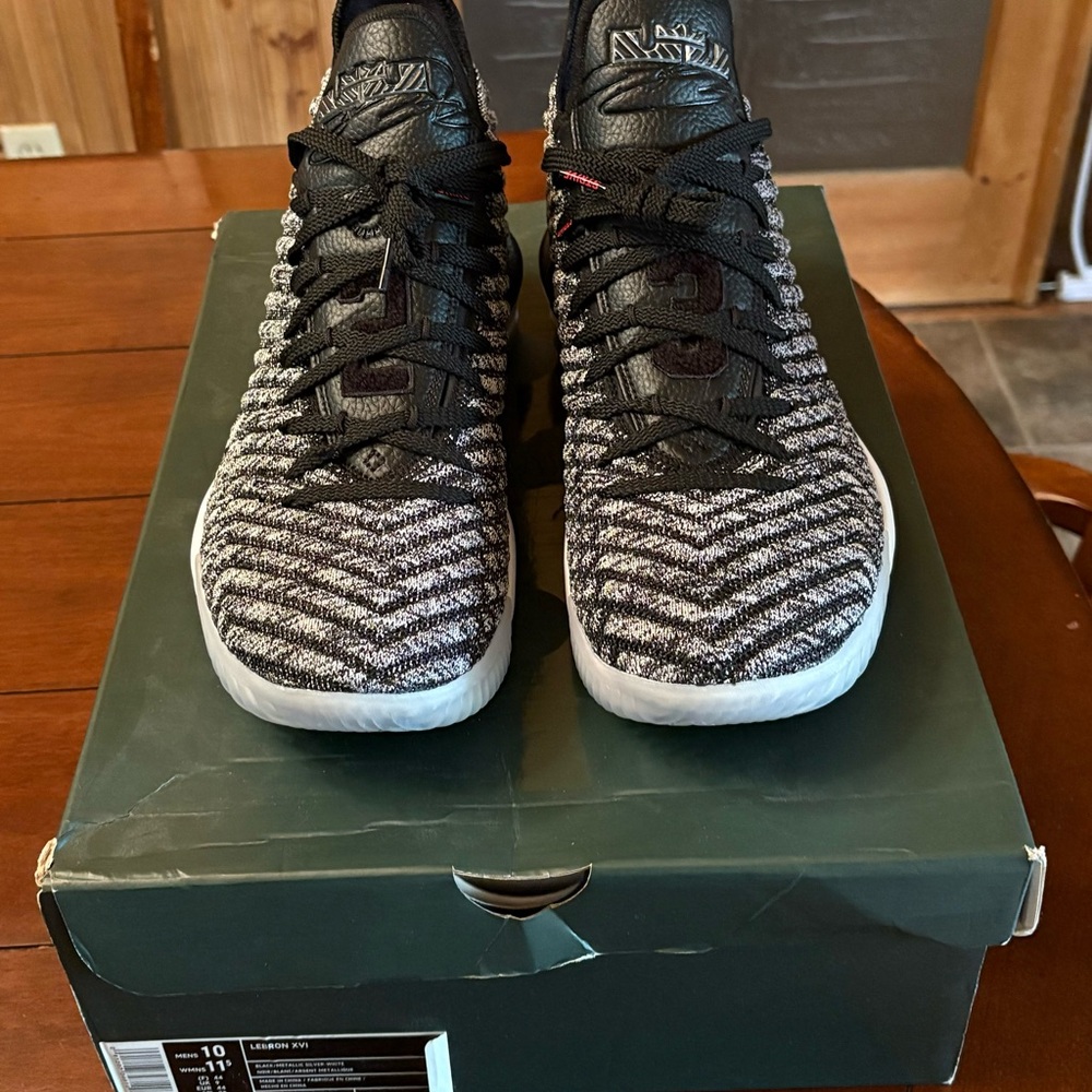 Nike LeBron XVI (16)